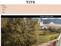tits.com.uy