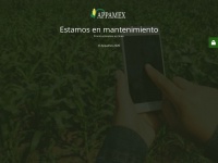 Appamex.com.mx
