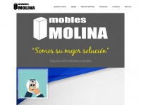 moblesmolina.com