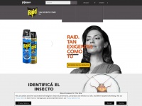 raiduruguay.com.uy