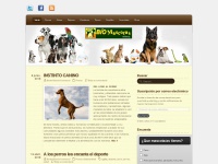 Biomascotas.wordpress.com