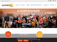 amiab.com