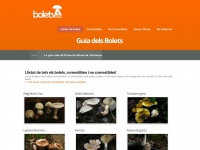 Bolets.info