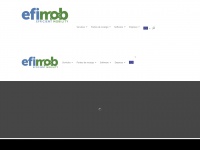 efimob.com