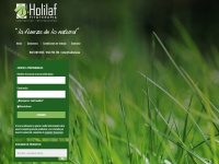 Holilaf.com