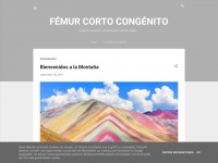Femurcc.blogspot.com