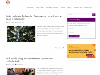 Voluntariadoempresarial.com.br