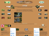 Forestwander.com