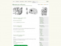 Microplantas.wordpress.com
