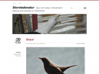 Storstadsnatur.wordpress.com