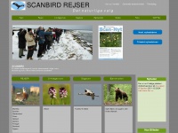 scanbird.com