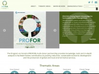 profor.info