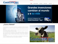 guasconitambos.com.ar