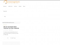Meongnium.com