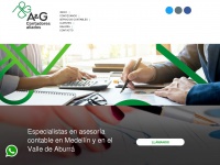 aygcontadores.com.co