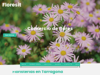 Floresit.com