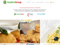 Audensgroupsolutions.com