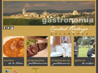 gastronomiaciudadrodrigo.com