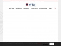 Wels.net