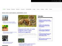 noticiasambientales.com Thumbnail
