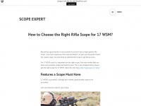Scopeexpert.wordpress.com