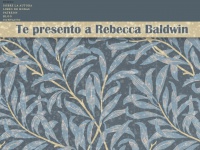 Rebeccabaldwinsaga.com