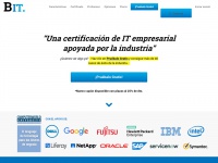 Businessitprogram.com