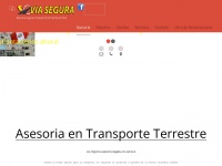 Viaseguraperu.com