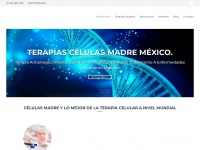 Celulasmadre-tratamiento.mx