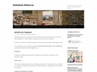 salhaketa-nafarroa.com