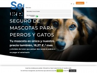 seguropeludos.com Thumbnail