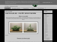 Nessi-bonsai.blogspot.com