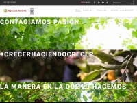 Agricolaandrea.com