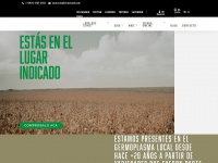 stinesemillas.com.ar