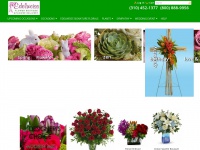 Edelweissflower.com
