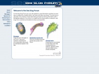 Seaslugforum.net