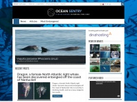 oceansentry.org Thumbnail