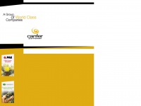 Canfer.com.mx