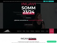Ingavisomm.com