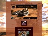 Jaguar.org.mx