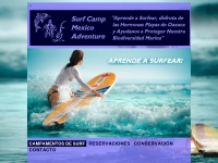 Surfcampmexico.org