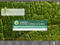 Catalogoplantasdecolombia.unal.edu.co
