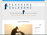 Panoramacalasanz.org