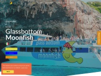 Moonfishcat.com