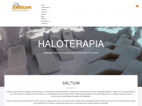 Saltium.es