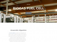 Biogasfuelcell.com