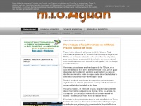Mioaguan.blogspot.com