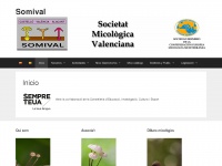 somival.org