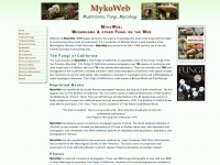 mykoweb.com
