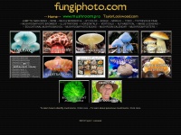 Fungiphoto.com